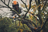 Przecinarka akumulatorowa GTA 40 21,6V zestaw z 2x akumulatorami AS 2 i ładowarką AL 5-2 STIHL GA04-011-6918