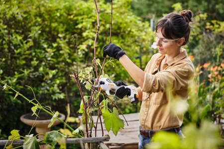 Sekator do gałęzi akumulatorowy ASA 20 10,8V z akumulatorem AS 2 i ładowarką AL1 STIHL VA05-011-6211