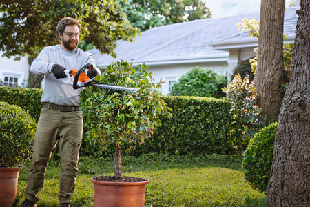 Nożyce Akumulatorowe STIHL HSA 40 50cm 10V