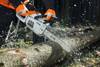 STIHL Pilarka spalinowa MS 201 C-M 1145-200-0262